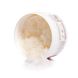 Passion Plum Hair Removal Granule Set + Coconut Oil Scrub
